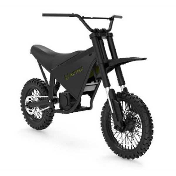 Дарослыя гонкі на спартыўных матацыклах